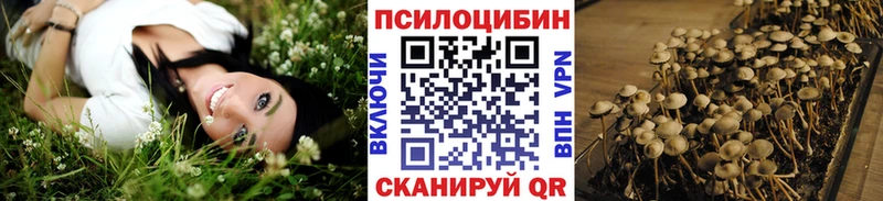 Псилоцибиновые грибы Psilocybe  Ряжск 